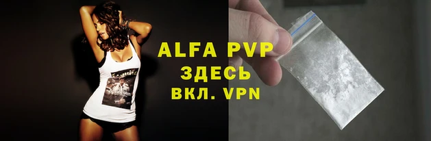 крисы Алзамай