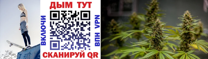 Каннабис план  Сухиничи 